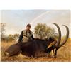 Image 1 : South Africa: 7 Day Roan or Sable Antelope Hunt for 1 Hunter / Includes $3,000 Trophy Fee Credit