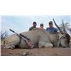 Image 1 : Namibia: 9 Day Safari  for 2 hunters, Includes 2 Eland Bulls