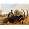 Image 1 : South Africa: 7 Day Roan or Sable Antelope Hunt for 1 Hunter / Includes $3,000 Trophy Fee Credit
