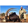 Image 3 : South Africa: 7 Day Roan or Sable Antelope Hunt for 1 Hunter / Includes $3,000 Trophy Fee Credit
