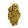Image 1 : 11.63 Gram Gold Nugget