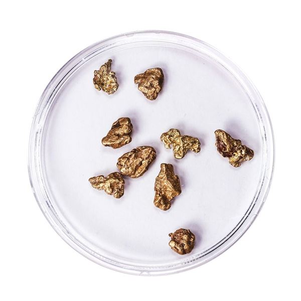 Lot of Gold Nuggets 3.09 Grams Total Weight