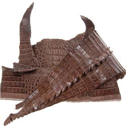 Dark Brown Crocodile Skin Pelt