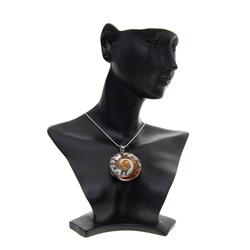 Polished Shell & Sterling Necklace