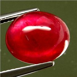 12.34ct. Cabochon 13X11mm. Top Blood Red RARE Madascar Ruby AAA  RETAIL $4500 (GEM-3830)