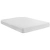 Image 1 : 8" ALL FOAM MIAB 20 QUEEN