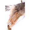 Image 6 : Native American Coyote Pelt Quiver & Arrows