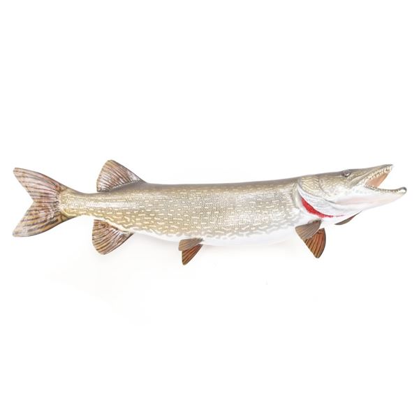 Full Body Northern Pike Taxidermy Wall Mount