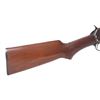 Image 5 : Winchester Model 1906 Rare Expert .22 Pump Rifle