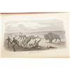 Image 14 : 1873 Buffalo Land by William Edward Webb