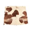 Image 1 : Trade Cloth Backed Cowhide Stage Coach Blanket