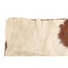 Image 2 : Trade Cloth Backed Cowhide Stage Coach Blanket