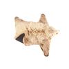 Image 13 : Alaskan Kodiak Brown Bear Trophy Full Rug