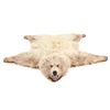 Image 2 : Alaskan Kodiak Brown Bear Trophy Full Rug
