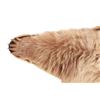 Image 3 : Alaskan Kodiak Brown Bear Trophy Full Rug