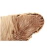 Image 7 : Alaskan Kodiak Brown Bear Trophy Full Rug