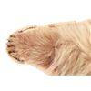 Image 9 : Alaskan Kodiak Brown Bear Trophy Full Rug