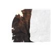 Image 8 : Exotic Tri-Colored Speckled Cowhide Premium Rug