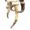 Image 25 : Extraordinary American Steer Horn & Cowhide Chair