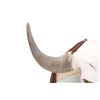 Image 11 : Lakota Sioux War Shield w/ Buffalo Skull on Front