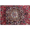 Image 10 : Sarouk Persian Hand Knotted Wool Area Rug 1930s