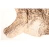 Image 9 : Salt & Pepper Brindle Striped Premium Cowhide