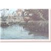 Image 7 : David Maass "Leveling Off Pintail"  Lithograph