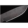 Image 10 : Nez Perce Chief Joseph Etched Bone Damascus Knife