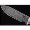Image 3 : Nez Perce Chief Joseph Etched Bone Damascus Knife
