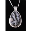 Image 2 : Outstanding Agate Navajo Charlie John Necklace