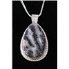 Image 2 : Outstanding Agate Navajo Charlie John Necklace