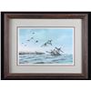 Image 1 : David Maass "On the Move-Canvasbacks" Lithograph