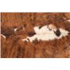 Image 10 : Exotic Tri-Colored Cowhide Brindle Premium Rug