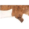 Image 11 : Exotic Tri-Colored Cowhide Brindle Premium Rug