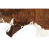 Image 4 : Exotic Tri-Colored Cowhide Brindle Premium Rug