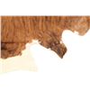 Image 9 : Exotic Tri-Colored Cowhide Brindle Premium Rug