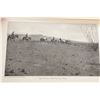 Image 11 : 1908 1st Ed. Camp-Fires on Desert & Lava Hornaday
