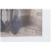 Image 11 : C. 1901 Hopi Snake Priest Original Photo by Vroman