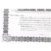 Image 10 : Yellowstone Park Stock Certificates (3)