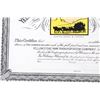 Image 14 : Yellowstone Park Stock Certificates (3)