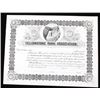 Image 8 : Yellowstone Park Stock Certificates (3)