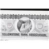 Image 9 : Yellowstone Park Stock Certificates (3)