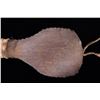Image 10 : Plains Indians Buffalo Rawhide & Parfleche Rattle