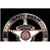 Image 3 : Southern State Sheriff's Badge Collection