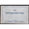 Image 6 : Early 1900's Yellowstone Photograph Post Cards