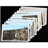 Image 9 : Early 1900's Yellowstone Photograph Post Cards