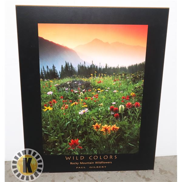 WILD FLOWERS WOODEN POSTER (APPROX. 28  X 22 )