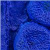 Image 4 : French Mixed Media on Canvas Signed Yves Klein