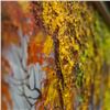 Image 5 : Oil on Canvas Signed N. Elrini Framed