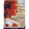 Image 2 : Framed Celebrity Photo of Bo Derek w/ Authentic Signing & COA